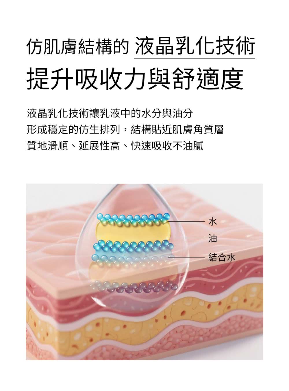 形成穩定的仿生排列,結構貼近肌膚角質層