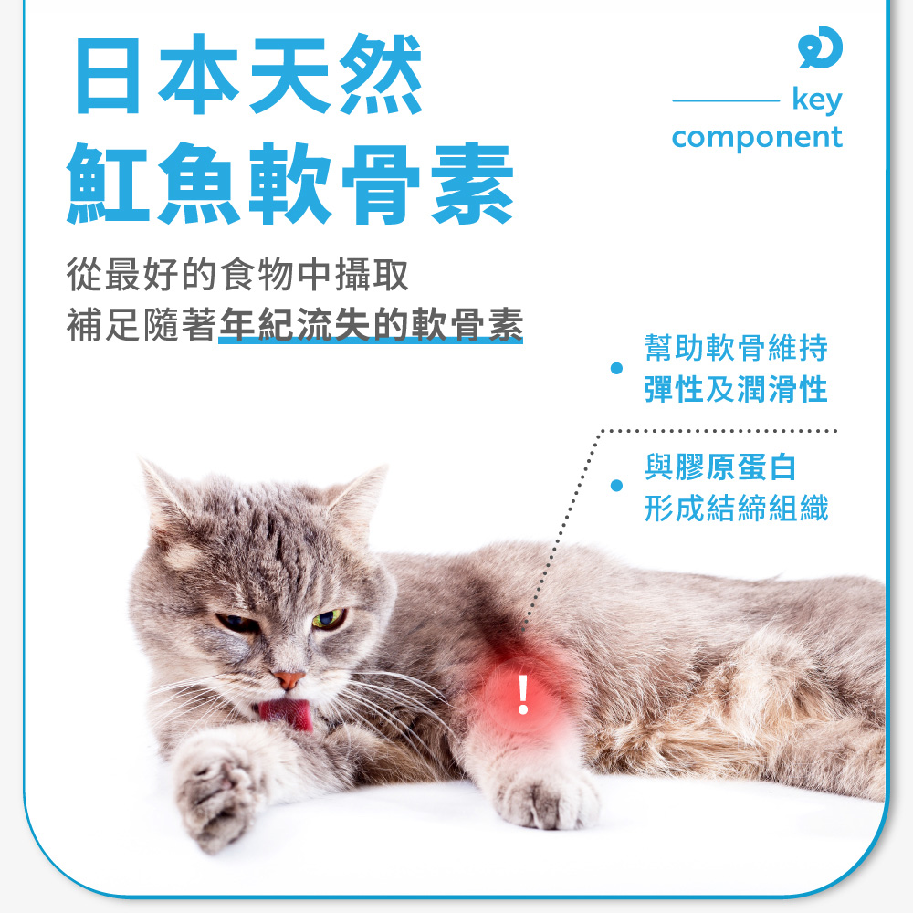補足隨著年紀流失的軟骨素