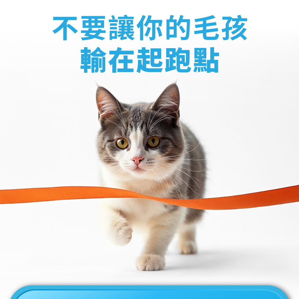 不要讓你的毛孩 輸在起跑點 