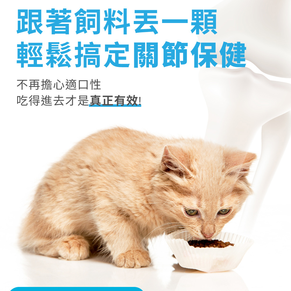 跟著飼料丟一顆 輕鬆搞定關節保健 不再擔心適口性 吃得進去才是真正有效 