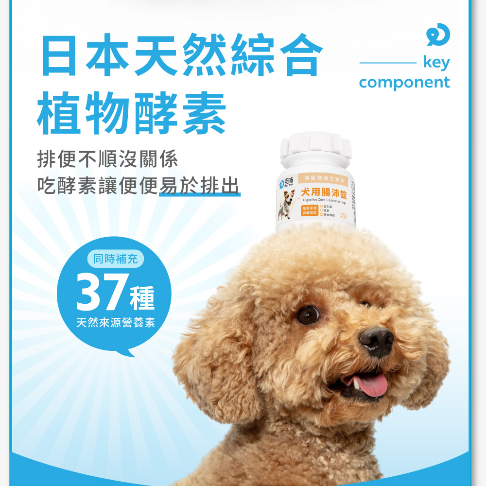 吃酵素讓便便易於排出