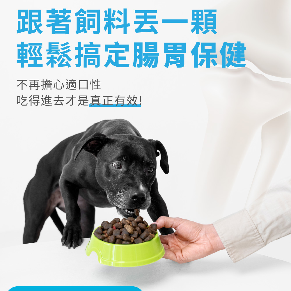 跟著飼料丟一顆 輕鬆搞定腸胃保健 不再擔心適口性 吃得進去才是真正有效 