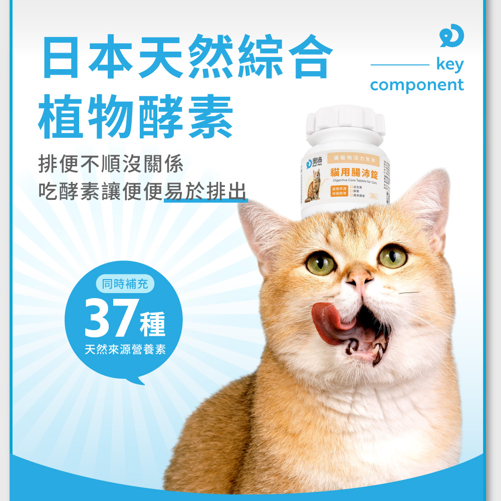吃酵素讓便便易於排出