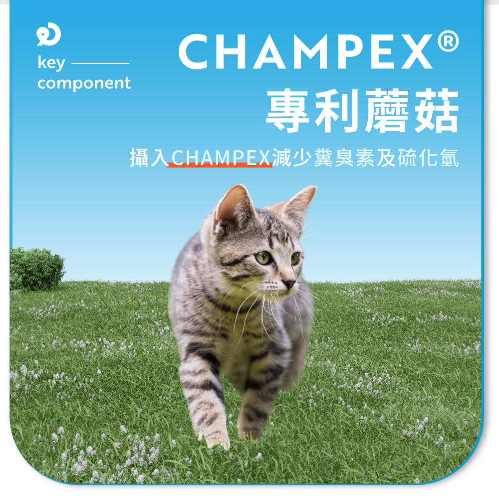 專利蘑菇 攝入CHAMPEX減少糞臭素及硫化氫 
