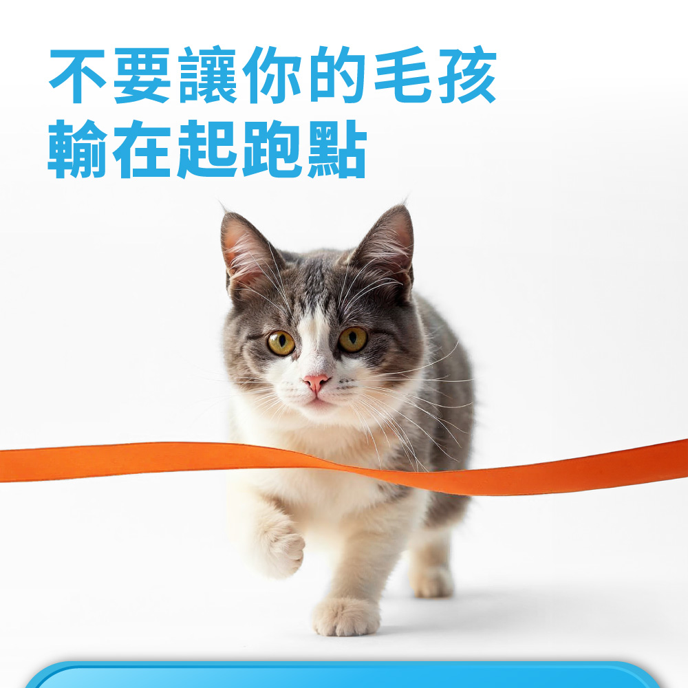 不要讓你的毛孩 輸在起跑點 