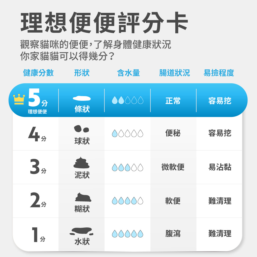觀察貓咪的便便,了解身體健康狀況