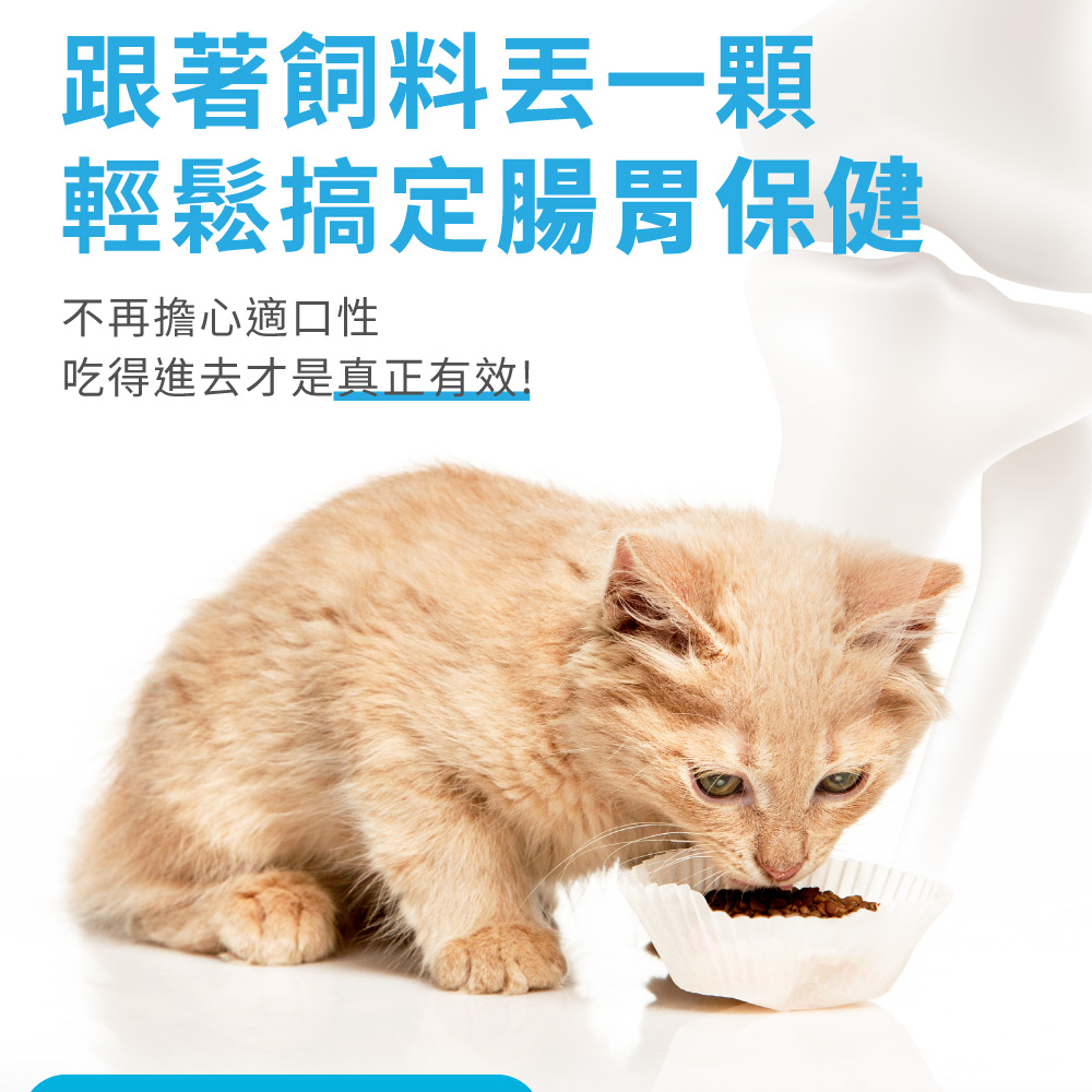 跟著飼料丟一顆 輕鬆搞定腸胃保健 不再擔心適口性 吃得進去才是真正有效 