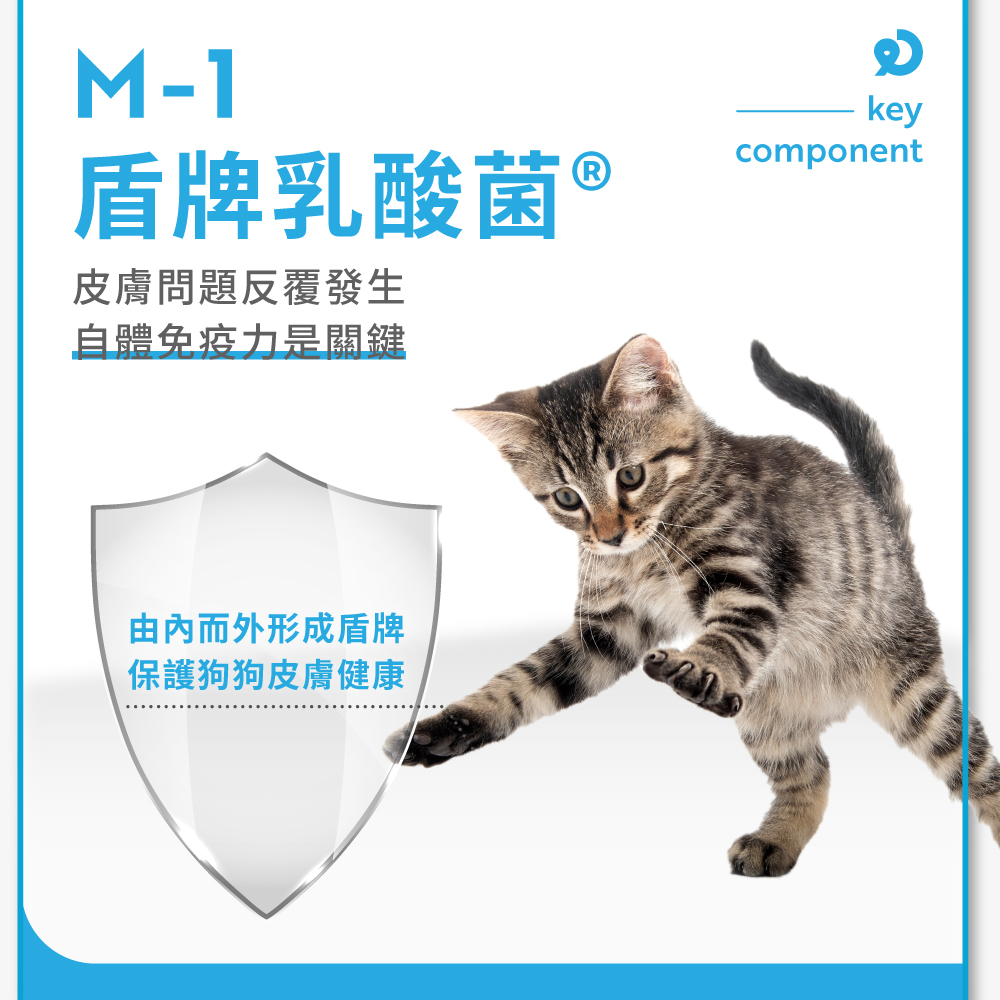 盾牌乳酸菌 皮膚問題反覆發生 自體免疫力是關鍵 由內而外形成盾牌 保護狗狗皮膚健康 