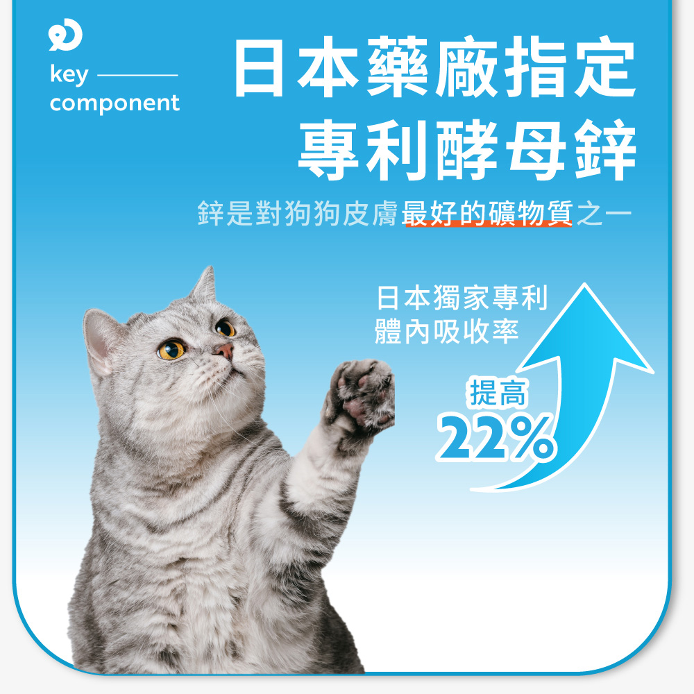 鋅是對狗狗皮膚最好的礦物質之一