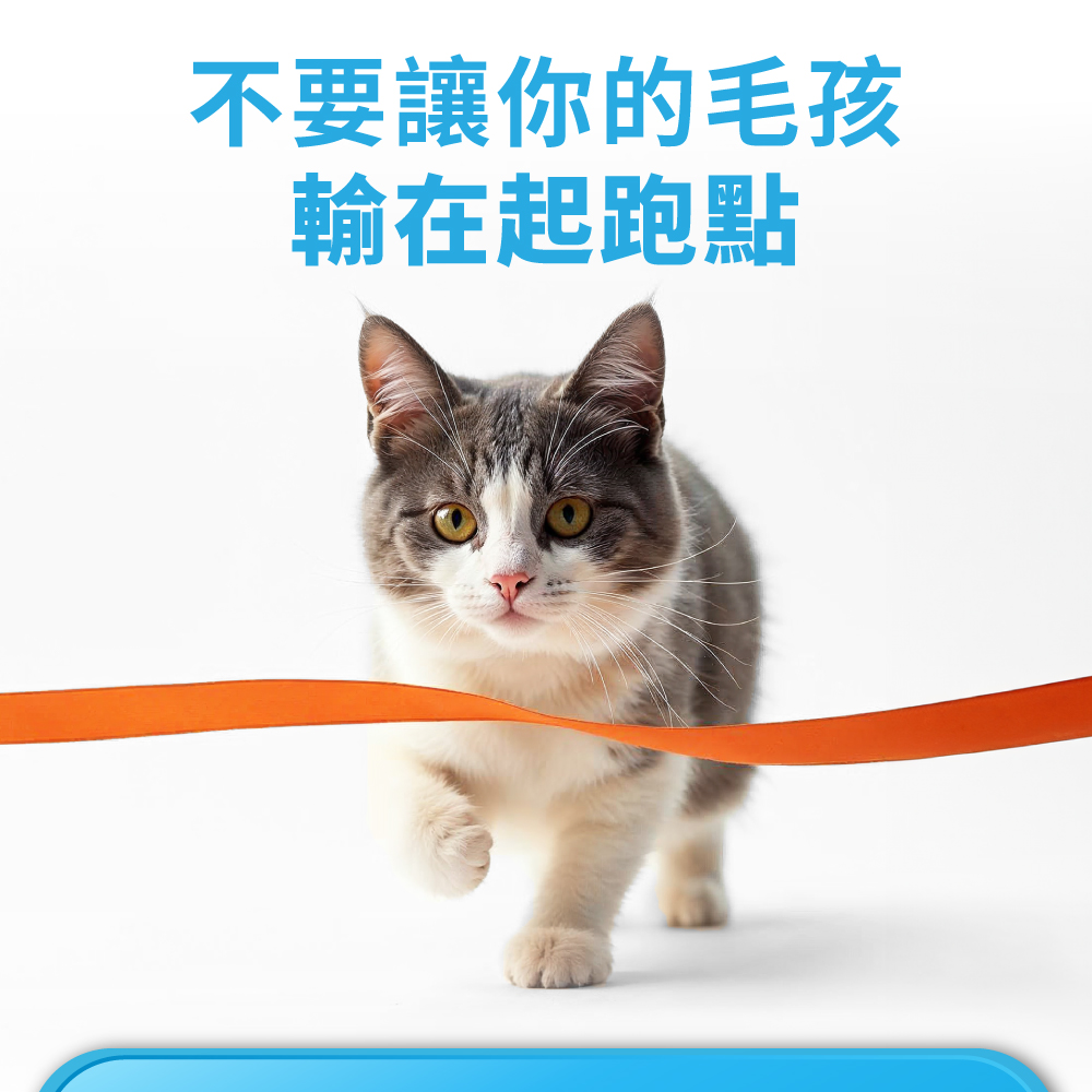 不要讓你的毛孩 輸在起跑點 