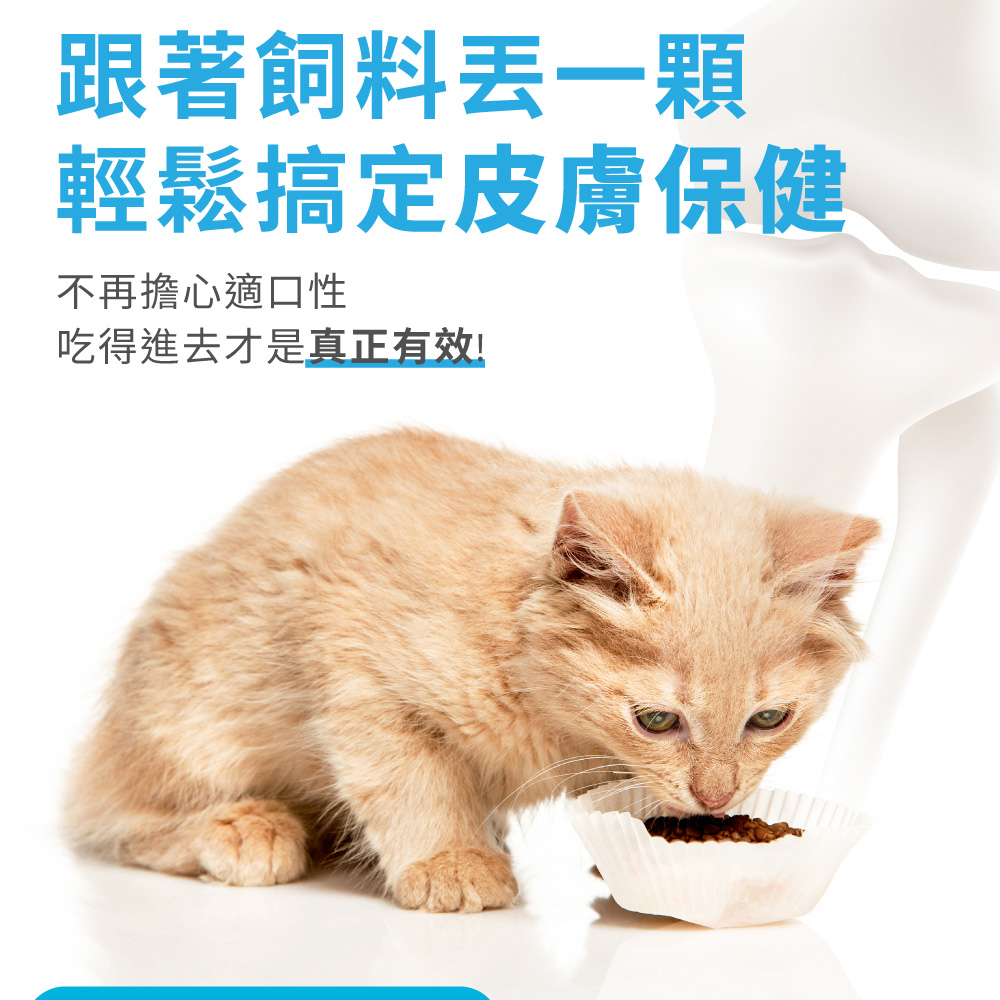 跟著飼料丟一顆 輕鬆搞定皮膚保健 不再擔心適口性 吃得進去才是真正有效 