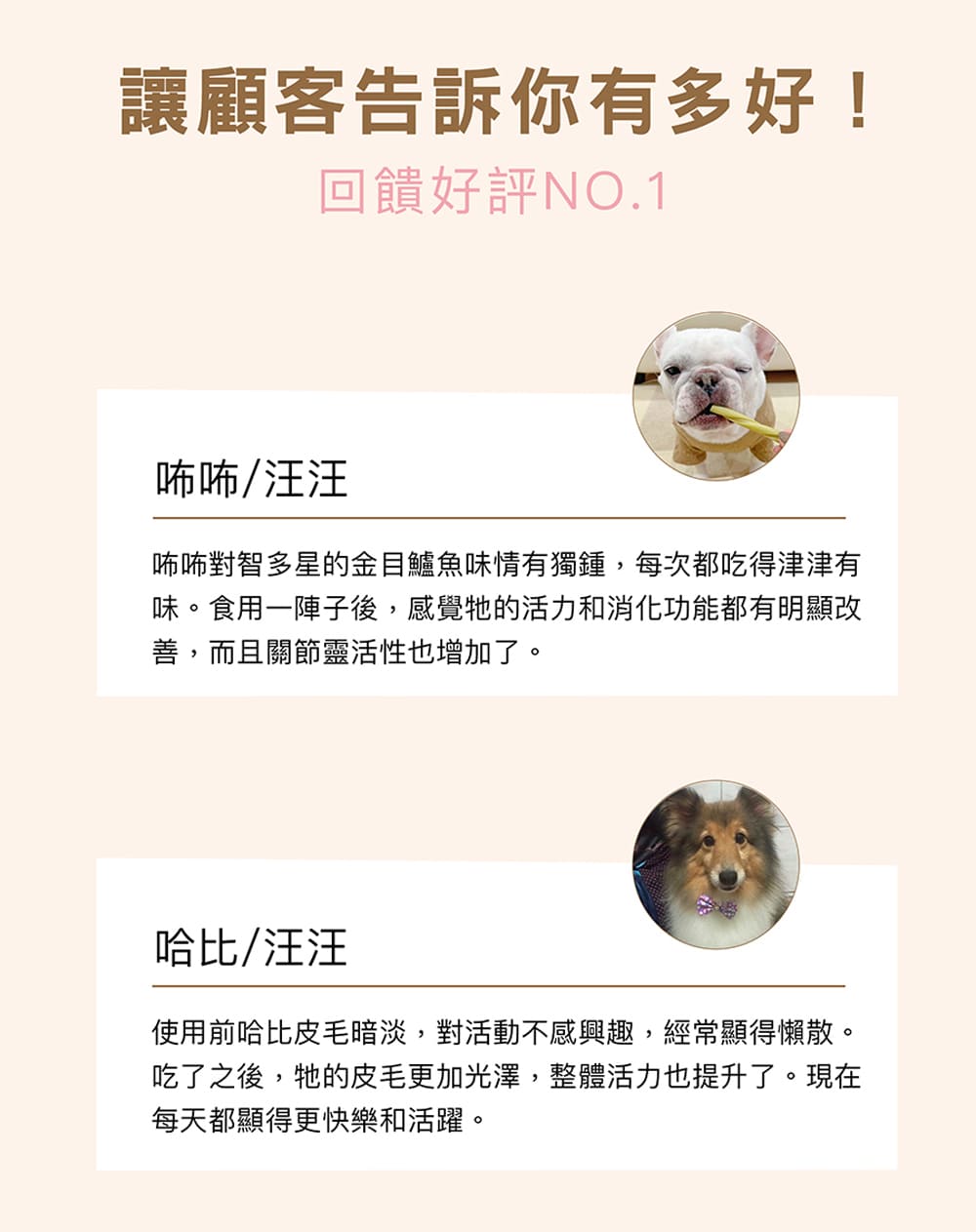 唏唏對智多星的金目鱸魚味情有獨鍾,每次都吃得津津有