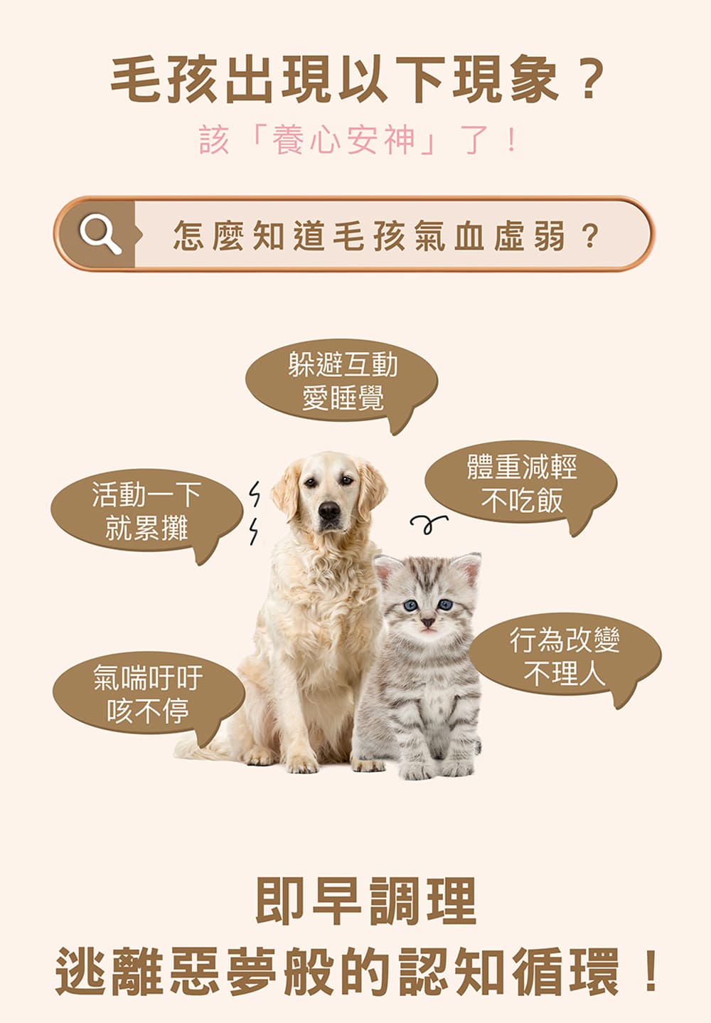 怎麼知道毛孩氣血虛弱