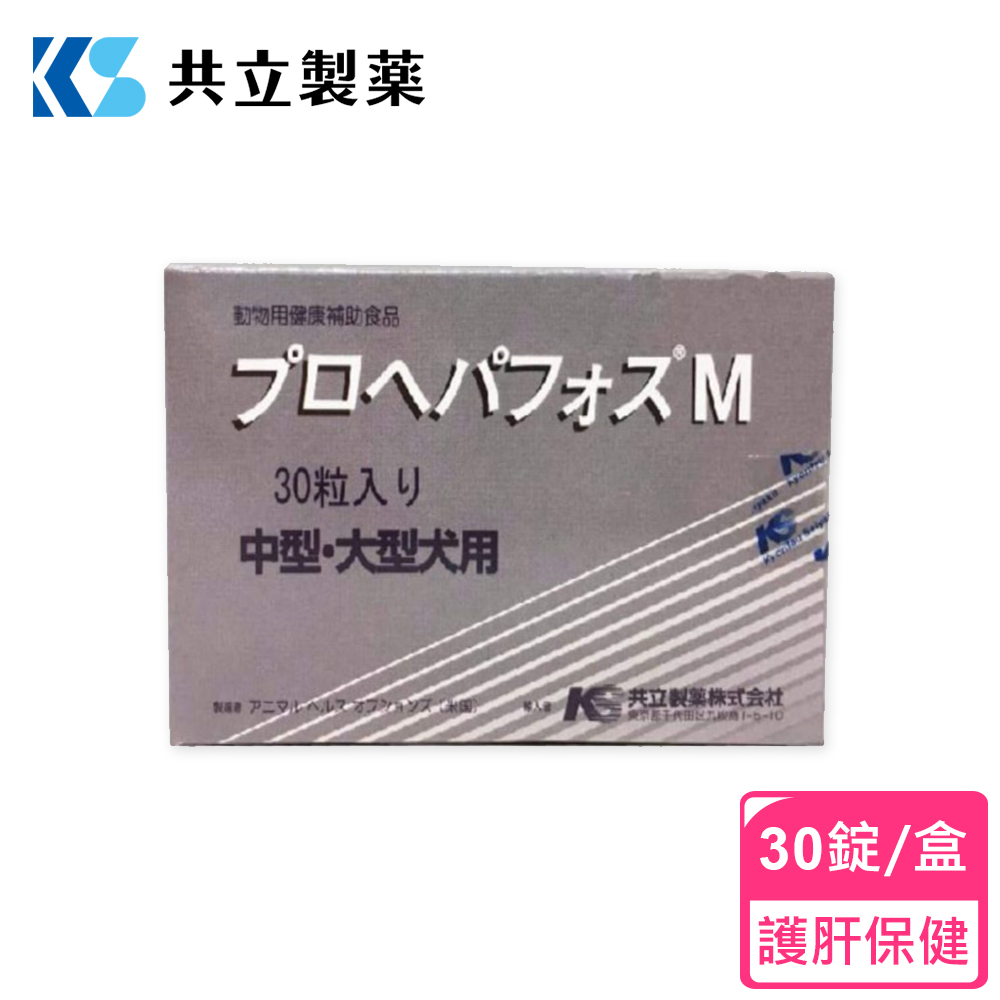 行年代田区规1510
