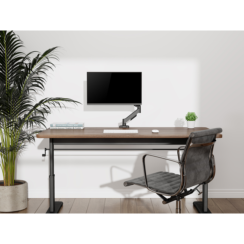 CENTRAL PARK NYC Luna &