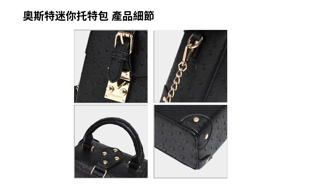 奥斯特迷你托特包 產品細節 