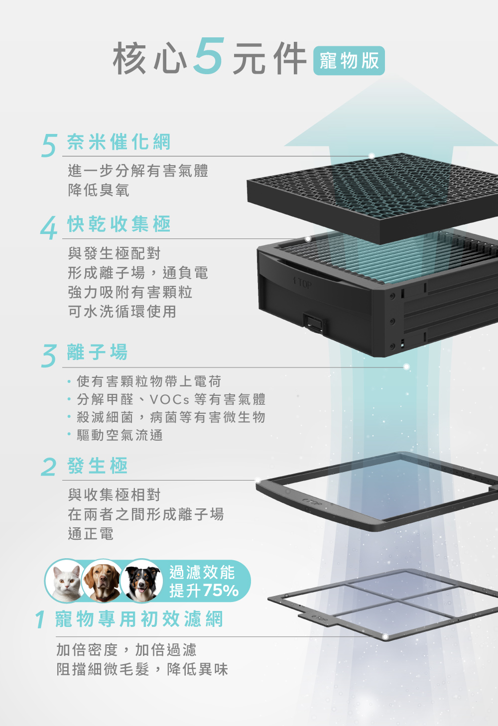 分解甲醛、VOCs 等有害氣體