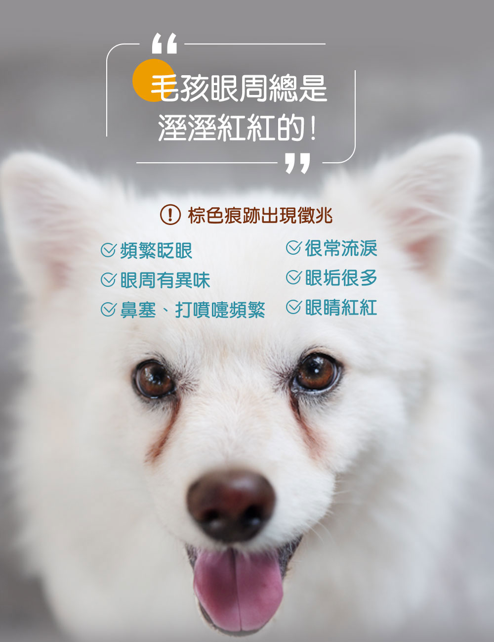 鼻塞、打噴嚏頻繁 眼睛紅紅