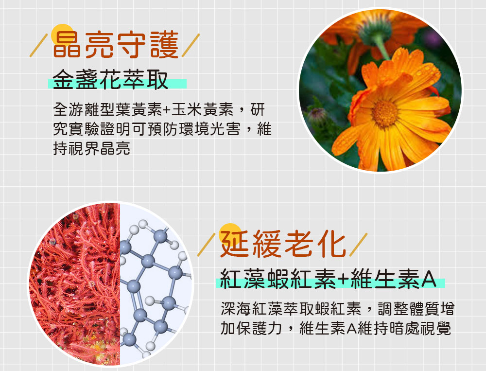 深海紅藻萃取蝦紅素,調整體質增