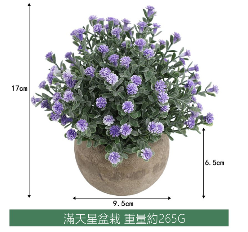 滿天星盆栽重量約265G 