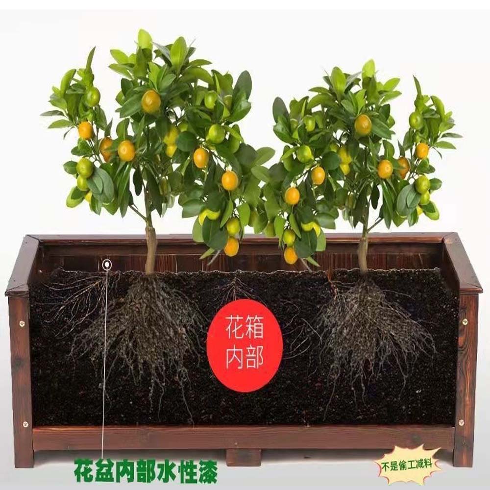 poko】防腐木長方形花槽箱(戶外花盆戶外種植箱庭院木花箱露台盆栽陽台