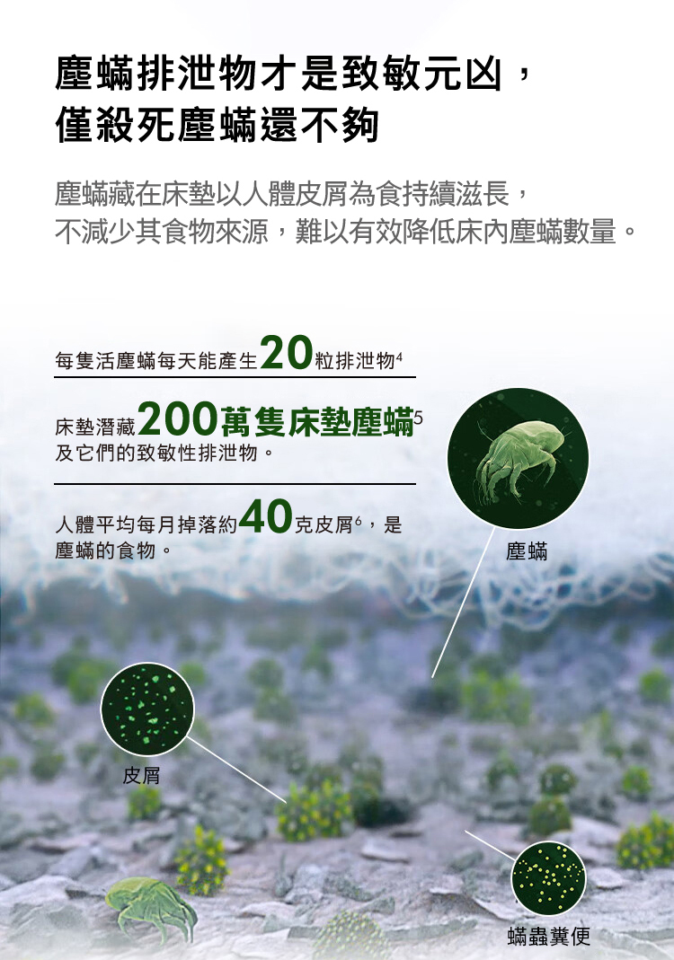 不減少其食物來源,難以有效降低床內塵蟎數量。