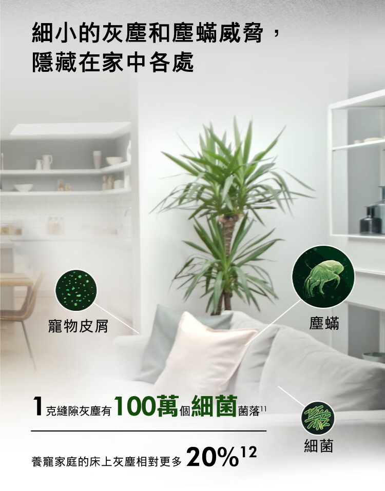 1克縫隙灰塵有100萬個細菌菌落