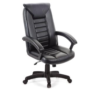 【GXG】高背皮面 電腦椅(TW-1032 E)