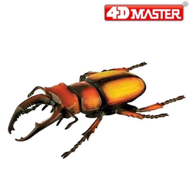 【4D MASTER】甲蟲系列-鹿兒島鍬形甲蟲 (KAGOSHIMA STAG BEETLE)如何購買?