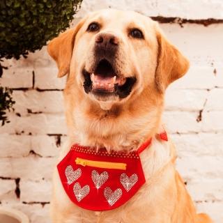 【GFSD璀璨水鑽精品】璀璨桃心(寵物領巾收納袋)