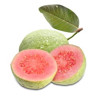 【果之家】燕巢脆甜爽口紅心芭樂3台斤(1箱/約3-5顆)