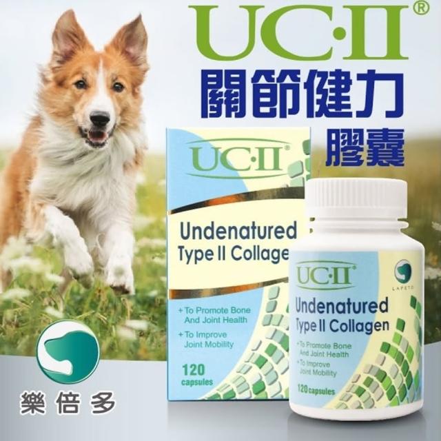 【UC-II】樂倍多關節健力膠囊120顆(非變性二型膠原蛋白)福利品出清