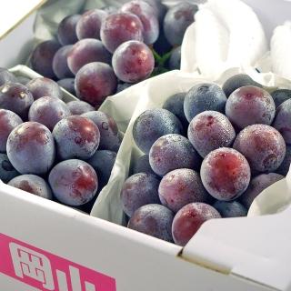 【鮮果日誌】日本岡山縣 貓眼葡萄(三房)