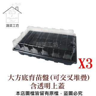 【蔬菜工坊】大方底育苗盤含透明上蓋3組/件(可交叉堆疊)