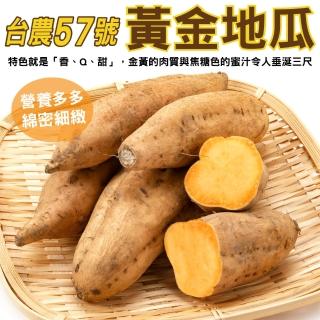 【小農直配】台農57號黃地瓜(平箱裝5斤±10%)