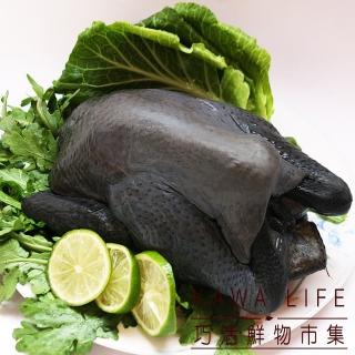 【KAWA巧活 任選1688】華陀雞 全雞(1.9kg±100g/包)