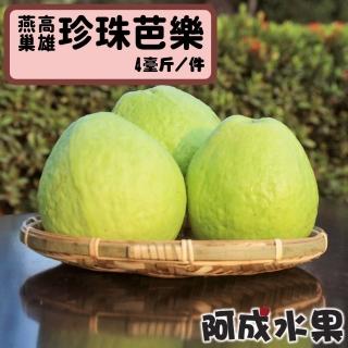 【阿成水果】高雄燕巢珍珠芭樂(5台斤/件)