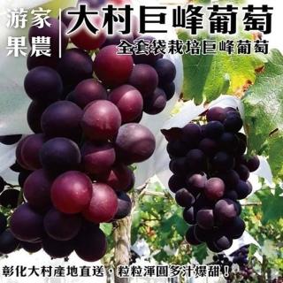 【買1送1-WANG 蔬果】大村特大顆巨峰香檳葡萄 共兩箱(每箱4串入/約4斤±10%含箱重)