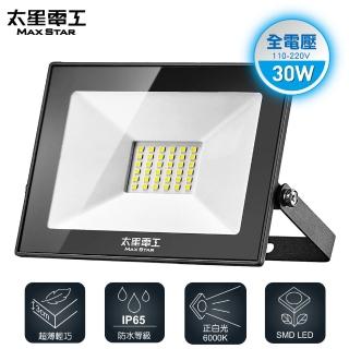 【太星電工】30W LED防水投射燈/白光(110V)