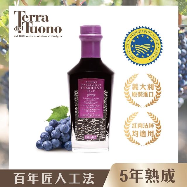 【Terra Del Tuono雷霆之地】義大利百年手工巴薩米克醋Spring(250ml/春天紫標)