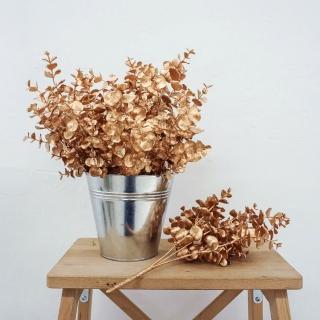 【Meric Garden】霧金尤加利葉束-5頭-6支/束