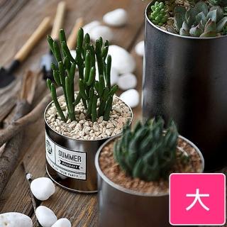 【Meric Garden】創意北歐ins風鐵罐/盆栽收納罐(無蓋-黑-大)