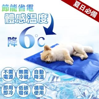 【寵物夢工廠】2入 / 寵物冰墊LL號65*50cm 人寵可用(筆電散熱 涼墊 降溫 散熱 狗窩 貓床 椅墊 涼爽 舒服)