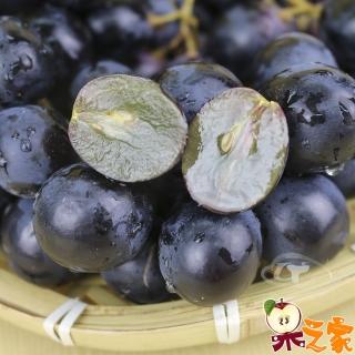 【果之家-中秋禮盒】苗栗卓蘭特級巨峰葡萄4.5台斤裝