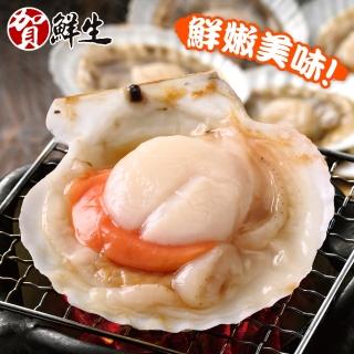 【賀鮮生】美味半殼扇貝5包(5-9個/包)