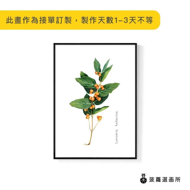 【菠蘿選畫所】忍冬果實-50x70cm(畫/植物畫作/客廳/咖啡廳掛畫/複製畫/家居佈置)