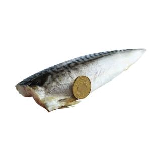 【優鮮配】3L挪威薄鹽鯖魚 210g X20片|特大規格 /單片真空 /囤貨量販組