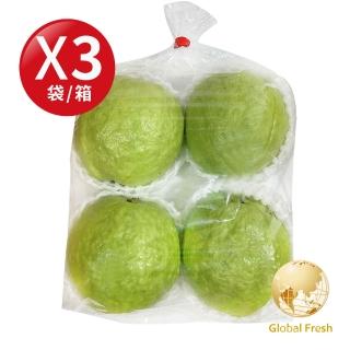 【Global Fresh-盛花園】高CP值國民水果 珍珠芭樂(1.2kg/袋 3袋/箱)