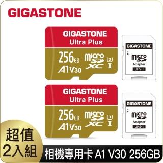 【Gigastone 立達國際】256GB micro SDXC UHS-Ⅰ U3 記憶卡超值2入組(256G A1V30 高速記憶卡)