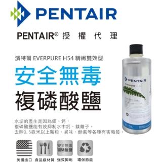 【濱特爾】EVERPURE H-54 精緻雙效型濾心 台灣總代理公司貨